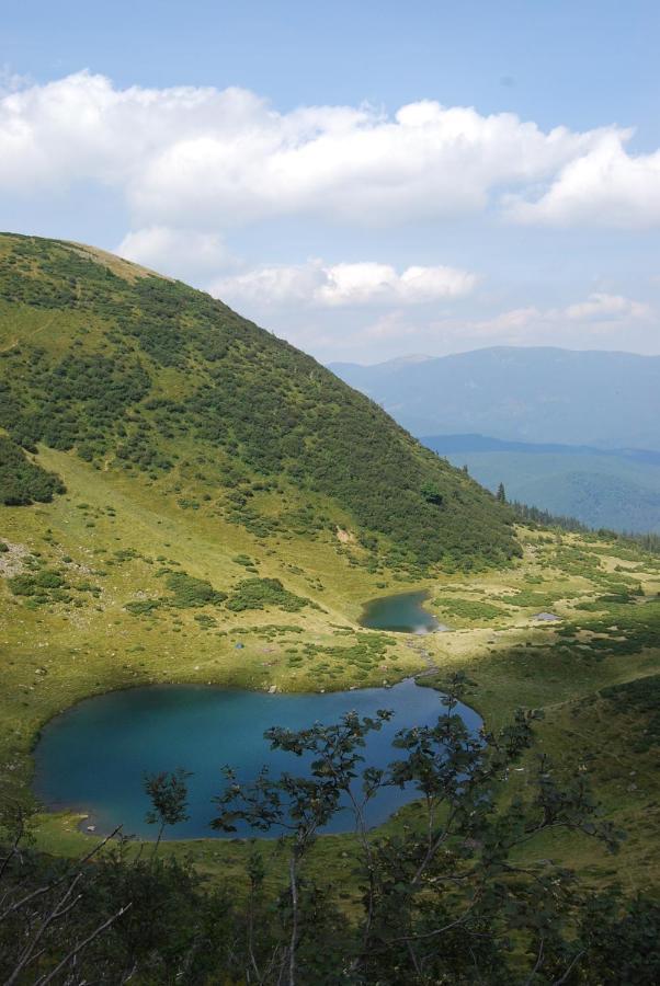 Zelena Dacha Drahobrat